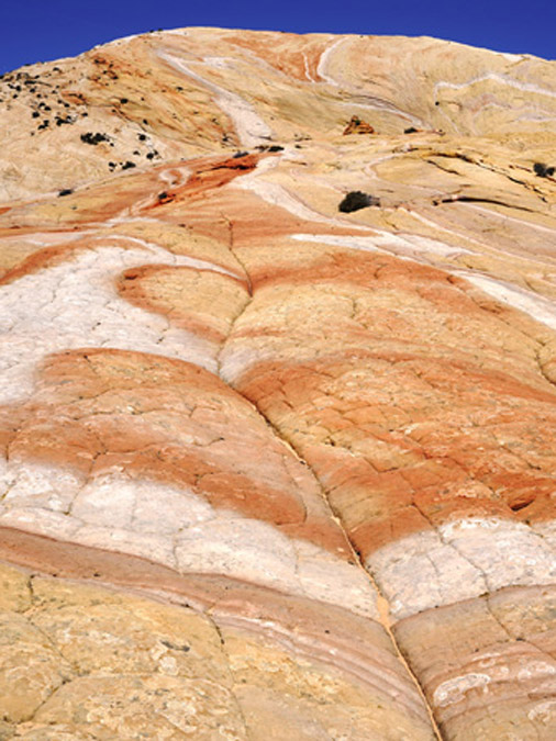 /Yellow%20Rock%20Tour